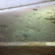 Illustration for article titled Attention 505turbeux: This rust is for you